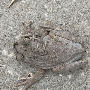 Meet your Posher, Jayson